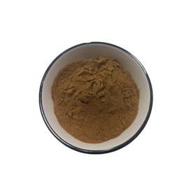 WonderLand Herbs Euphorbia Kansui Liou/Radix Poudre dextrait de racine de Kansui 1 kg