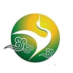 Herba Phylianthi Niruri Extrait de poudre 10:1 1 kg, extraits naturels de plantes