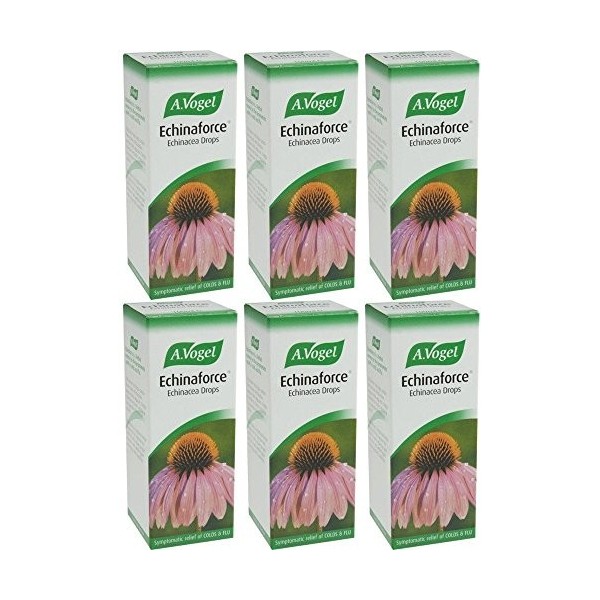 A Vogel Echinaforce Drops Lot de 6 paquets de gouttes 100 ml