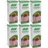 A Vogel Echinaforce Drops Lot de 6 paquets de gouttes 100 ml