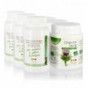 Phyto-one - 3 Pack Detox