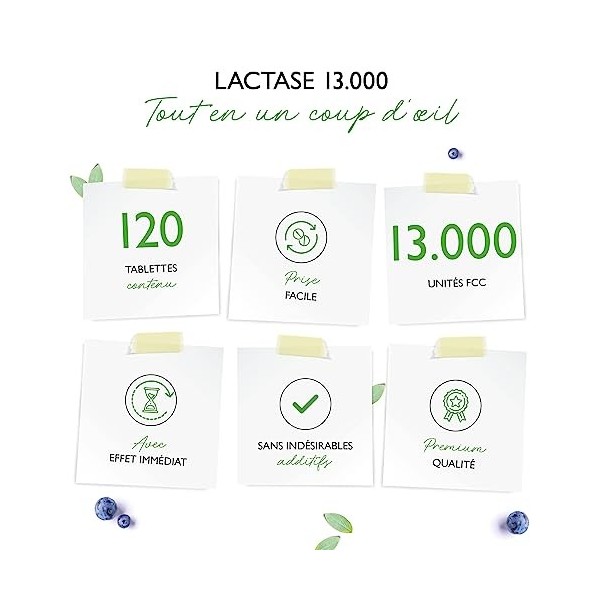 Lactase 13.000 Depot - 120 comprimés à libération prolongée Sepismart® Slow Release - Hautement dosé avec 13.000 unités FCC