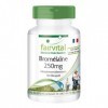 Fairvital | Bromélaïne 250mg VEGAN - Fortement dosé - 1000mg par dose journalière - 120 DRCaps® - 600 FIP - enzyme dananas