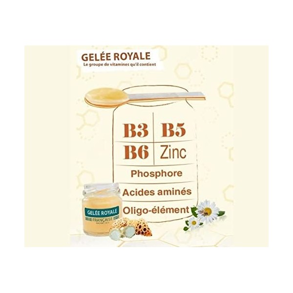 Maison Crétet | Geléeroyale française | 1 pot en verre de Gelée royale Française 10g | 1 Pot verre dans 1 boite protectrice e