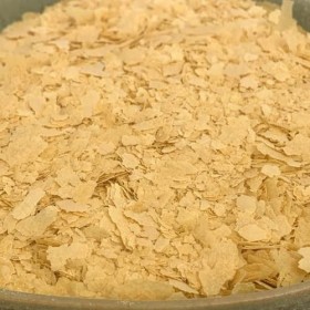 NULTHY - Levure nutritionnelle + B12 - Noix naturelles - Super aliments - Alimentation saine - Produit végétalien 1KG 