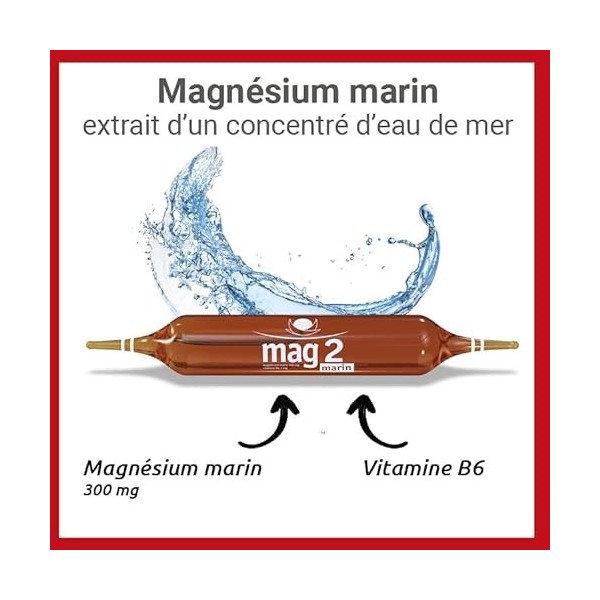 MAG 2 MARIN - Complément alimentaire à base de magnésium marin 300mg et vitamine B6 - Anti-nervosité et anti-fatigue - Progra