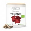 VIGNE ROUGE feuille - Vitis vinifera - 60 gélules 250 MG BIO 