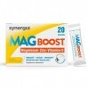 MAG BOOST 20 Sachets | Triple Action sur l’Immunité, la Fatigue et la Nervosité | Une Synergie de Magnésium Liposomal Hauteme