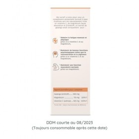 Nootropique sans Caféine Booster de Concentration Énergie Anti-stress • Galanga testé cliniquement + Acérola Bio Vitamine C +