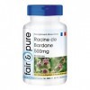 Fair & Pure® - Gélules de racine de bardane 500mg - 90 gélules - avec 15mg de zinc provenant de citrate de zinc organique - v