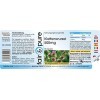 Fair & Pure® - Gélules de racine de bardane 500mg - 90 gélules - avec 15mg de zinc provenant de citrate de zinc organique - v