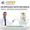 J.Armor Lactoferrin Lactoferrine Naturelle et Zinc | 30 Capsules 15 Doses | Lattoferrina Lattoferrine Renforce Le Système Imm