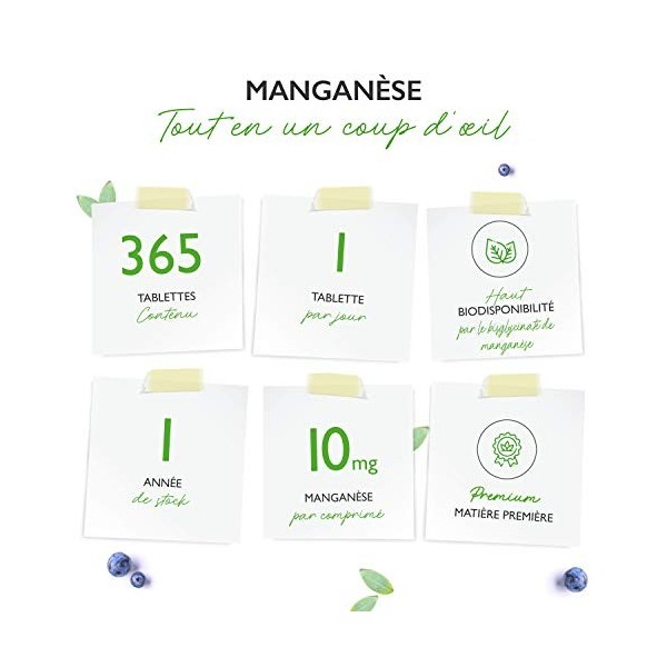 vit4ever Manganèse 10 mg - 365 comprimés - Approvisionnement pour 12 mois - Bisglycinate de manganèse - Végétalien - Oligo-él