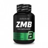 BioTechUSA ZMB Capsules | Optimiseur dhormones | avec Zinc, Magnésium et Vitamine B6 | Soutien à la testostérone, 60 capsule