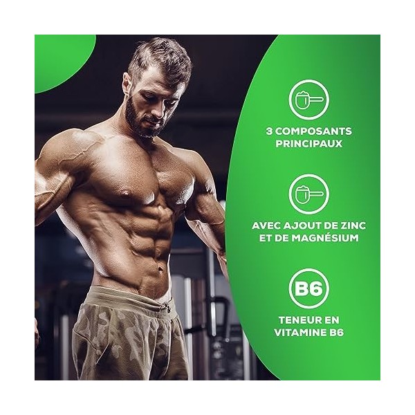 BioTechUSA ZMB Capsules | Optimiseur dhormones | avec Zinc, Magnésium et Vitamine B6 | Soutien à la testostérone, 60 capsule