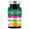 Boutique Nature - Complément Alimentaire - Chrysanthellum - 90 Gélules Végétales - Stimuler la circulation et soulager les ja