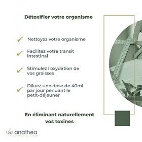 Complément Alimentaire Naturel Minceur Anathéa- Phase 1 Detox – Perte de poids | Extrait dartichaut | Thé vert | Café Vert |