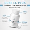 CHEERS - Magnesium Citrate, 90 Capsules de Magnésium Avec Zinc et Vitamine B6, Suppléments Végétaliens pour Adultes, 320 mg d