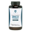 Complément Zinc et Moringa Bio | comprimés de zinc de 15 mg végétaliens | Utile pour lacné, le système immunitaire, les chev