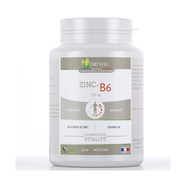 ZINC + B6 | COMPLEXE VITALITÉ | ÉNERGIE | IMMUNITÉ | Gluconate de Zinc, Vitamine B6 | 120 Gélules | FORTYFIA | Fabriqué En Fr