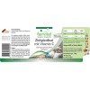 Fairvital | Picolinate de zinc avec vitamine C, 15mg de zinc par gélule, 90 gélules - Substance pure