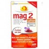 Mag 2 Safran - Pack 1 Mois - Magnésium marin Safran - Bien Etre Mental et Physique - Lot de 2 x 30 Comp 2 