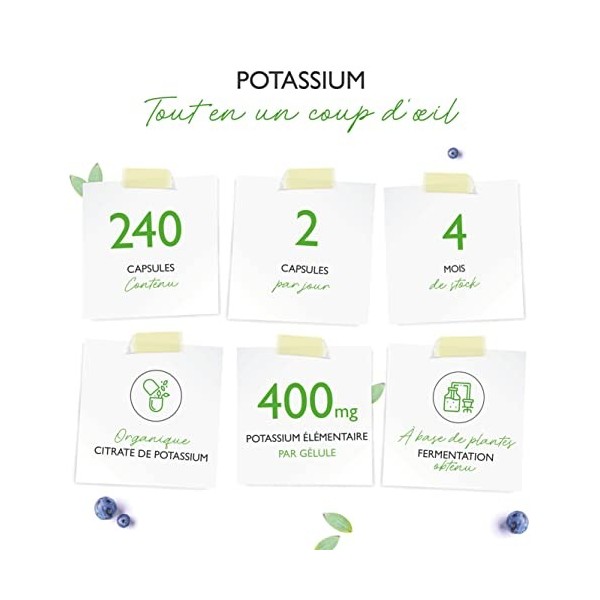 Potassium - 240 gélules - Haute dose : 1143 mg par gélule, dont 400 mg de potassium élémentaire - 100% citrate de potassium -