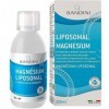 Bandini® Magnésium Liposomal 250ml - Complément Alimentaire Liquide à Haut Dosage, Absorption et Biodisponibilité- Régénérati