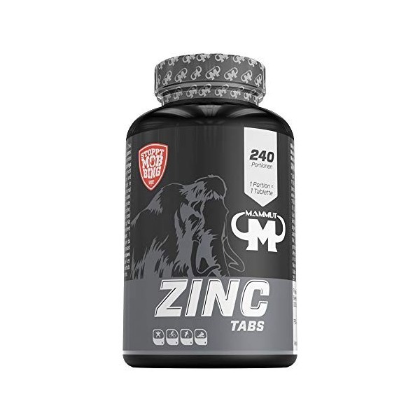 Mammut Zinc Tabs