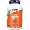 Now Foods Red Mineral Algae 180 capsules végétaliennes Végétariennes Minéraux dalgues rouges - Lithothamnium calcareum