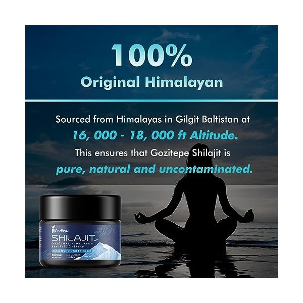 Shilajit Résine Premium Shilajit de lHimalaya - 600 mg avec Mélange dHerbes Ayurvédiques, Formule Complexe à Haute Puissanc