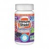 Yum Vs Immune Shield with Sambucus, 60 Count