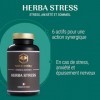 Naturathéra HERBA STRESS - Sans accoutumance - Complément Alimentaire Anxiété, Fatigue & Sommeil - Extrait Sec - 150 Gélules 