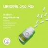 URIDINE 250 MG 30 Capsules - Complément Alimentaire Premium pour les Performances Cognitives, les Synapses Neuronales, Urid