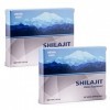 Siberia Altai Shilajit Natural Fulvic Mumiyo 120 lot de 2 x 60 onglets 