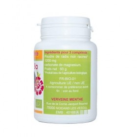 RADIS NOIR BIO AB 120 comprimés dosés à 400 mg en comprimés.