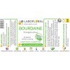 Bourdaine Labofloral 50 gélules dosées à 250 mg - Complément alimentaire - Laxatif naturel, constipation - Fabriqué en france