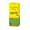 Vitalia Pharma - Mélange menthol - 40 g