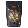 Happy Karma Pegasus Trail Mix 100g*2, Healthy Munching