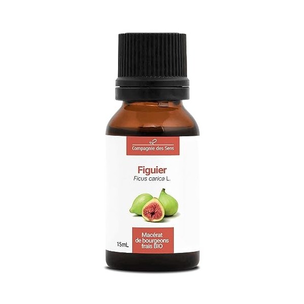 FIGUIER - 15mL - Macérat de bourgeons BIO