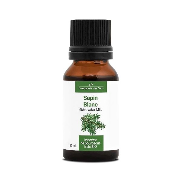 SAPIN BLANC - 15mL - Macérat de bourgeons BIO