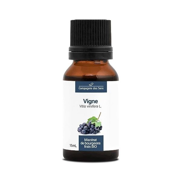 VIGNE - 15mL - Macérat de bourgeons BIO