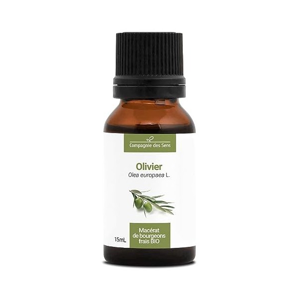 OLIVIER - 15mL - Macérat de bourgeons BIO