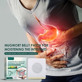 Lot de 36 Patchs de Ventre Darmoise, Favorise la Digestion Patch Brûlant les Graisses Ventre Humidifiant les Intestins Autoc