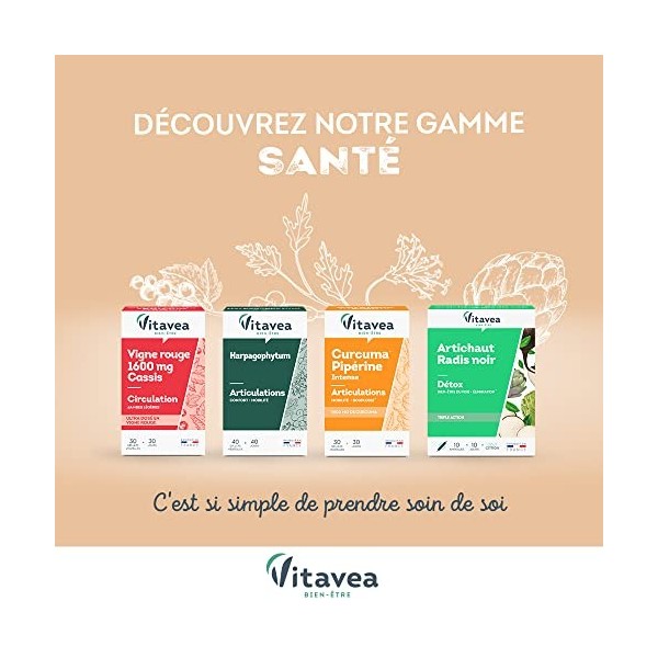 Vitavea - Complément Alimentaire Circulation - Sensation "Jambes légères" - Vigne Rouge BIO - Jambes Légères et Circulation V