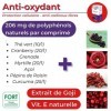 ANTI-OXYDANT FORT • ANTI RADICAUX LIBRES • Protection cellulaire • Baies de GOJI• Vitamine E naturelle • 206 mg de Polyphénol