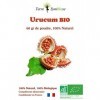 Urucum BIO - 60g de poudre