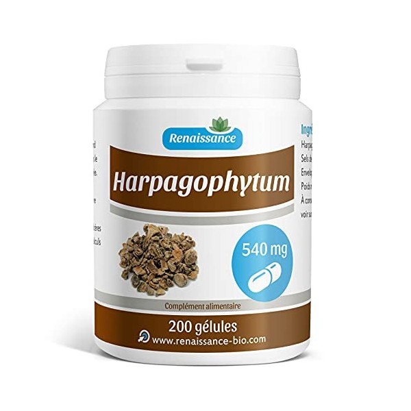 Harpagophytum 540 mg - 200 gélules