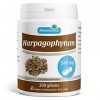 Harpagophytum 540 mg - 200 gélules