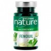 Boutique Nature - Complément Alimentaire - Fenouil - 90 Gélules Végétales - Bien être intestinal